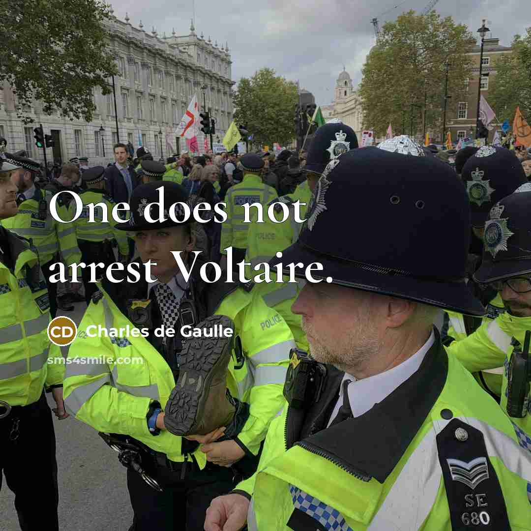 “One does not arrest Voltaire.” quote by Charles de Gaulle