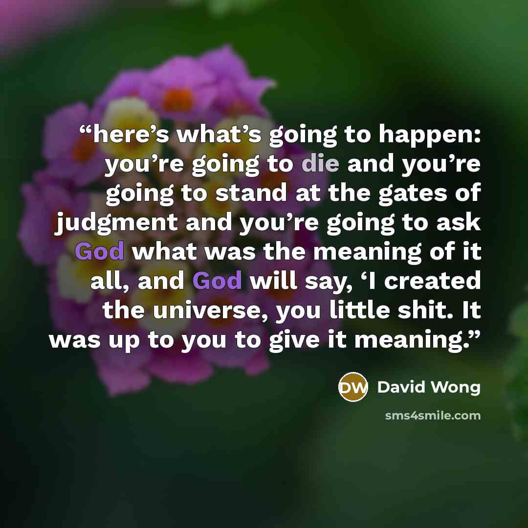 “here’s what’s going to happen: you’re going to die and you’re going to stand at the gates of judgment and you’re going to ask God what was the meaning of it all, and God will say, ‘I created the universe, you little shit. It was up to you to give it meaning.” quote by David Wong