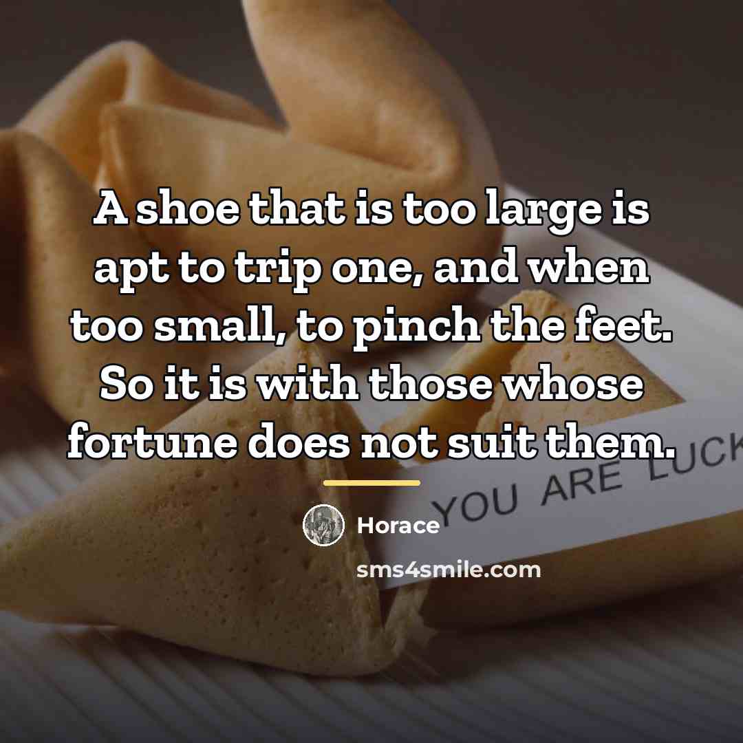 “A shoe that is too large is apt to trip…” quote by Horace