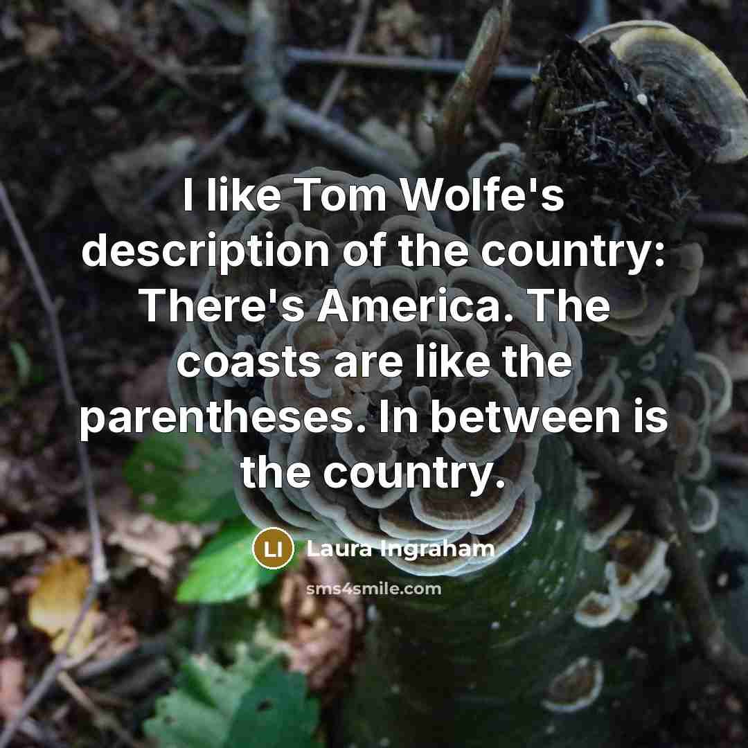 “I like Tom Wolfe's description of the country: There's America.…” quote by Laura Ingraham