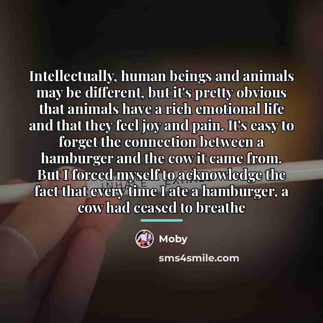 “Intellectually, human beings and animals may be different, but it's…” quote by Moby