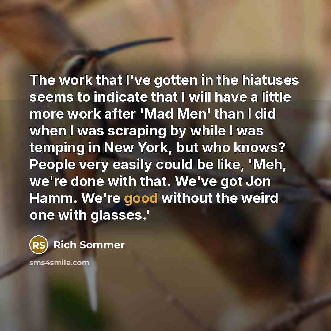 “The work that I've gotten in the hiatuses seems to…” quote by Rich Sommer