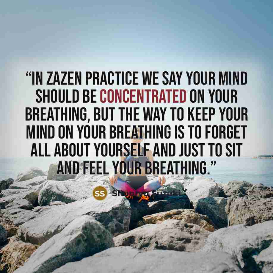 “In zazen practice we say your mind should be concentrated on your breathing, but the way to keep your mind on your breathing is to forget all about yourself and just to sit and feel your breathing.” quote by Shunryu Suzuki