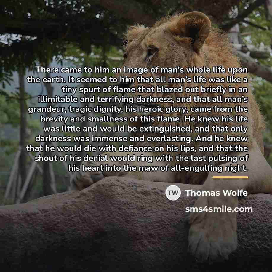 “There came to him an image of man’s whole life…” quote by Thomas Wolfe
