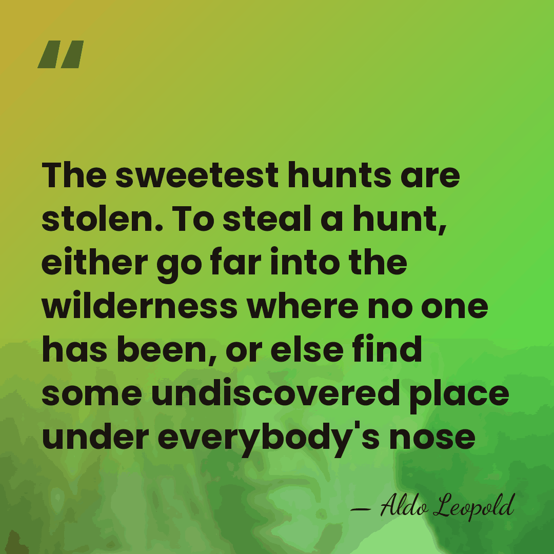 The sweetest hunts are stolen. To steal a hunt, either go far&hellip; - Aldo Leopold