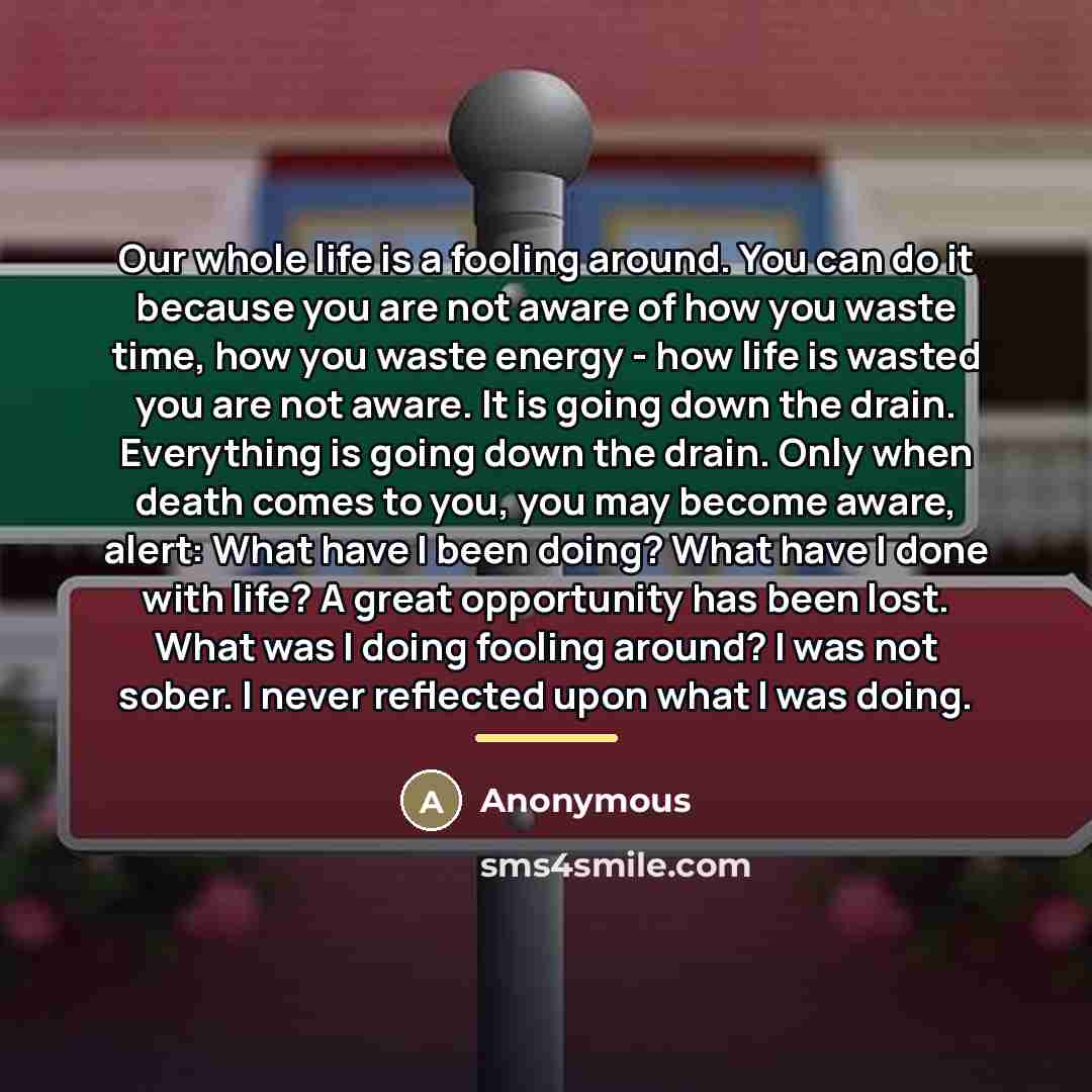 “Our whole life is a fooling around. You can do…” quote by Anonymous