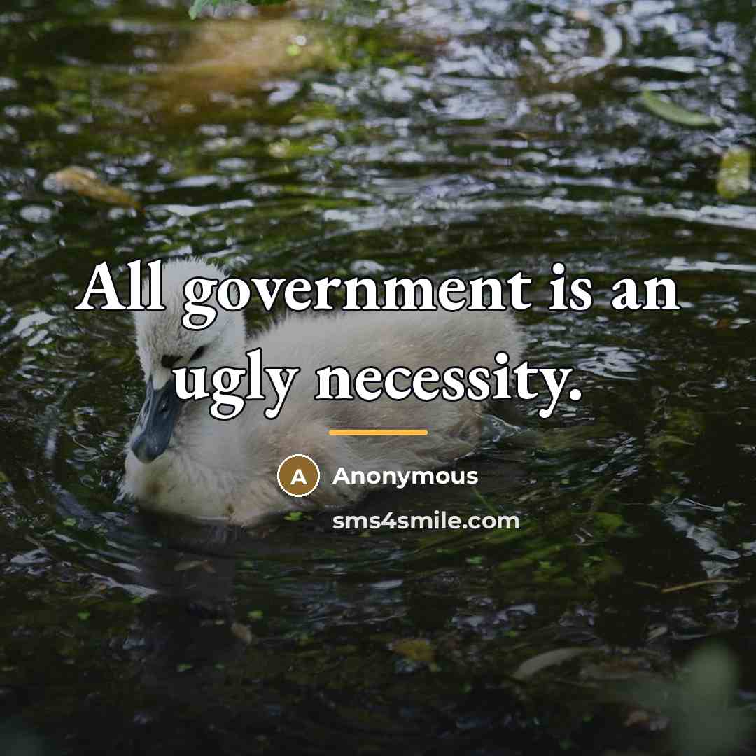 “All government is an ugly necessity.…” quote by Anonymous