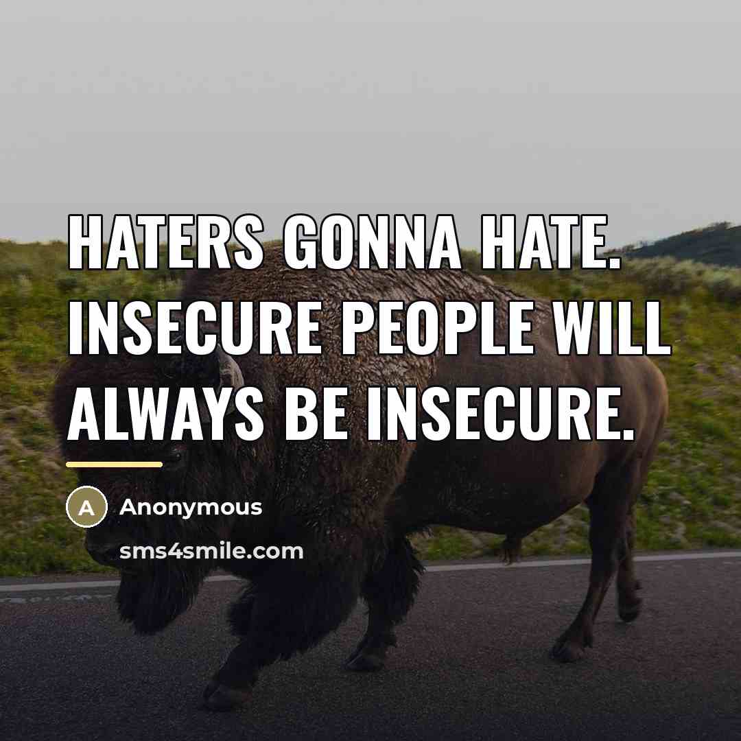 “Haters gonna hate. Insecure people will always be insecure.…” quote by Anonymous