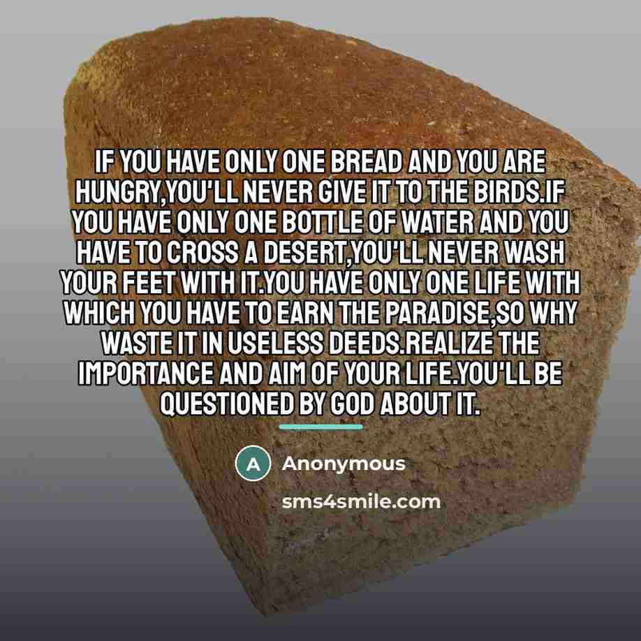 “If you have only one bread and you are hungry,you'll…” quote by Anonymous