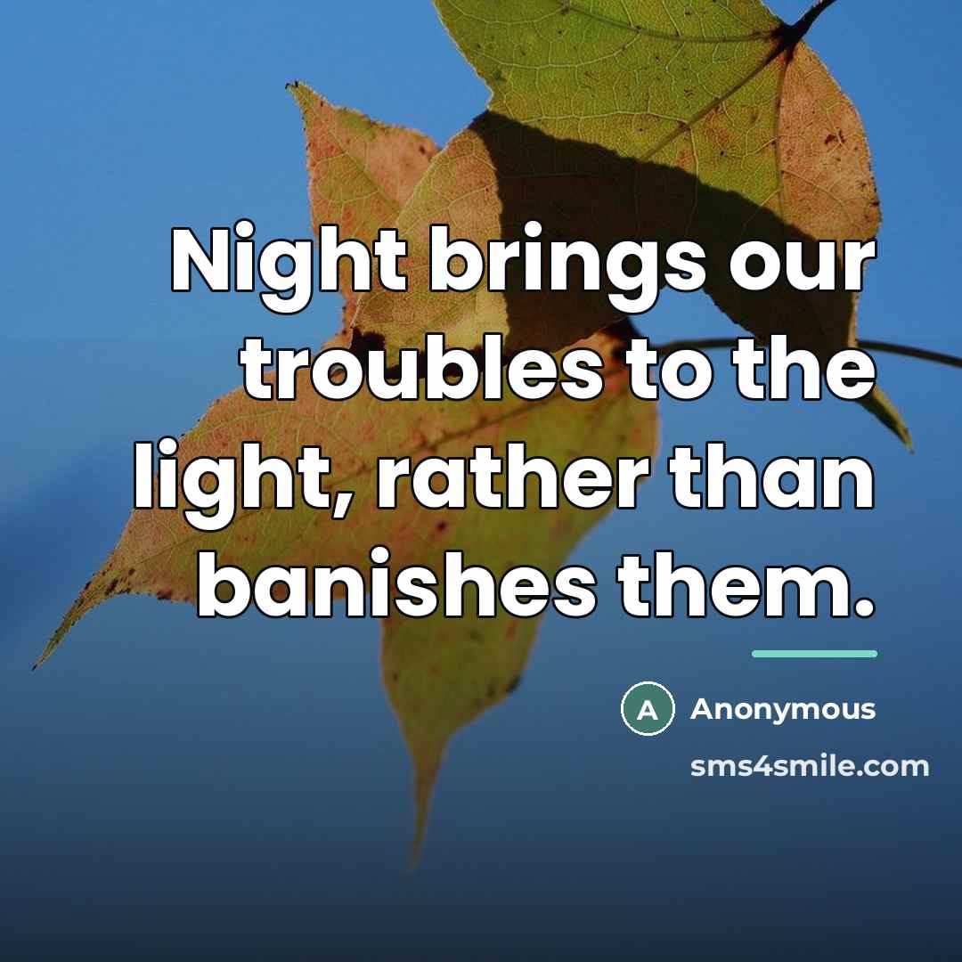 “Night brings our troubles to the light, rather than banishes…” quote by Anonymous