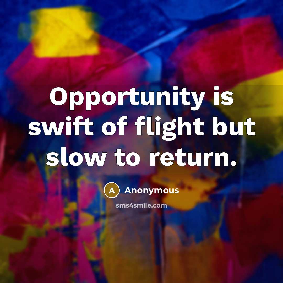 “Opportunity is swift of flight but slow to return.” quote by Anonymous