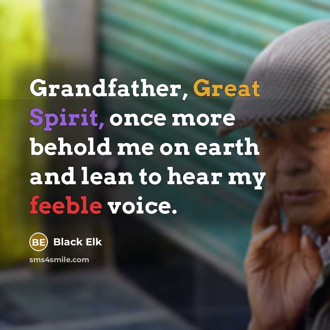 “Grandfather, Great Spirit, once more behold me on earth and…” quote by Black Elk