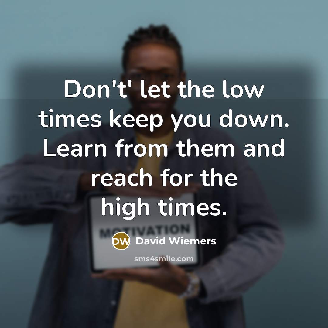 “Don't' let the low times keep you down. Learn from them and reach for the high times.” quote by David Wiemers