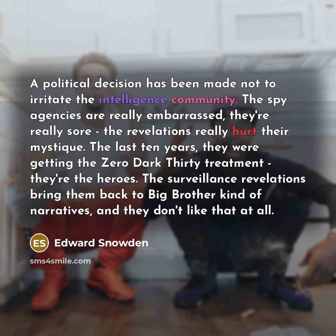 “A political decision has been made not to irritate the…” quote by Edward Snowden