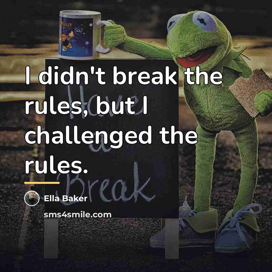 “I didn't break the rules, but I challenged the rules.…” quote by Ella Baker