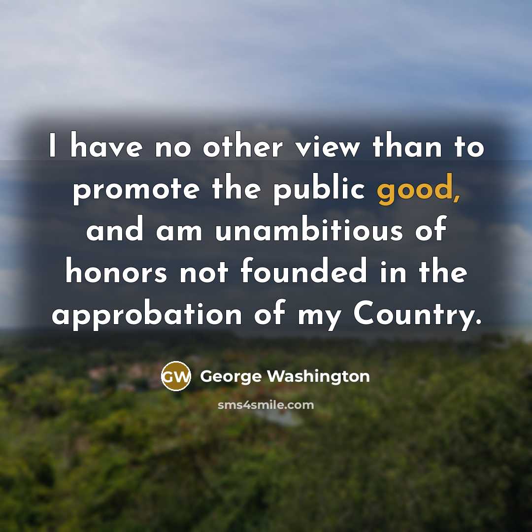 “I have no other view than to promote the public…” quote by George Washington