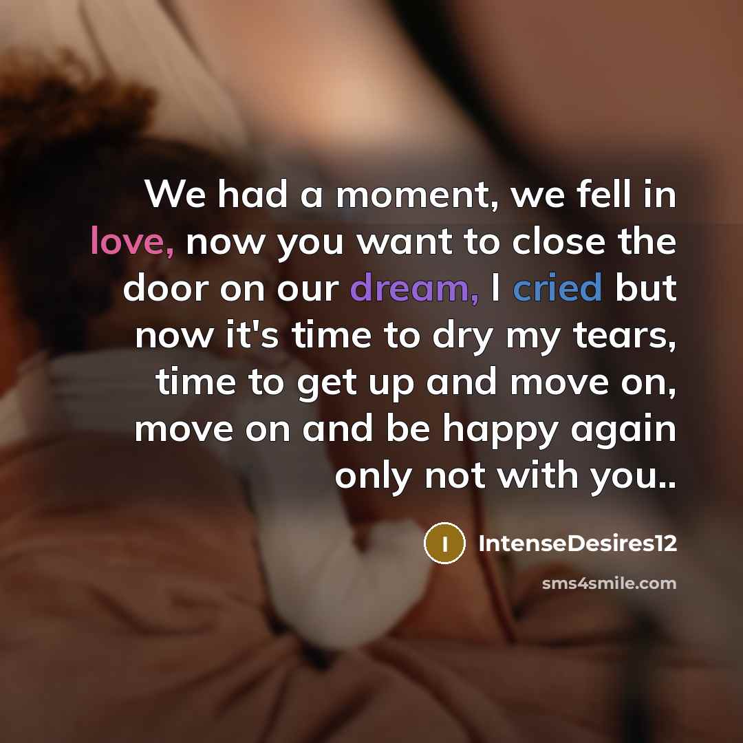 “We had a moment, we fell in love, now you want to close the door on our dream, I cried but now it's time to dry my tears, time to get up and move on, move on and be happy again only not with you..” quote by IntenseDesires12