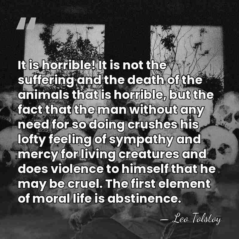 It is horrible! It is not the suffering and the death of&hellip; - Leo Tolstoy