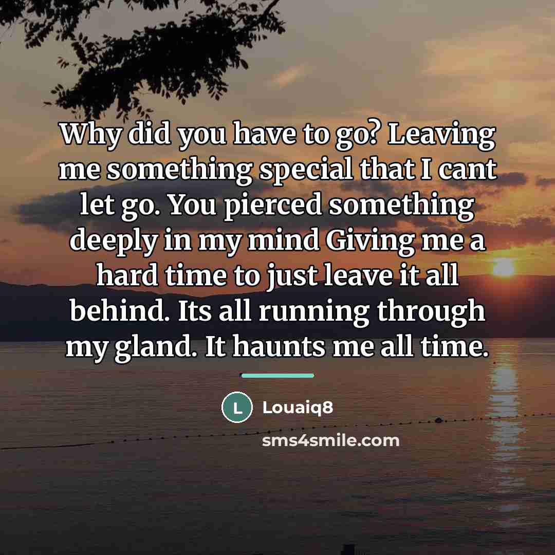 “Why did you have to go? Leaving me something special…” quote by Louaiq8