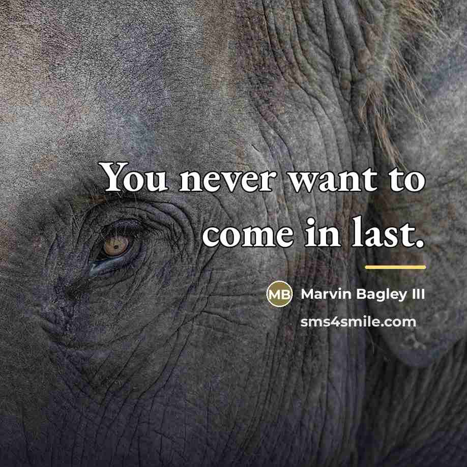 “You never want to come in last.…” quote by Marvin Bagley III