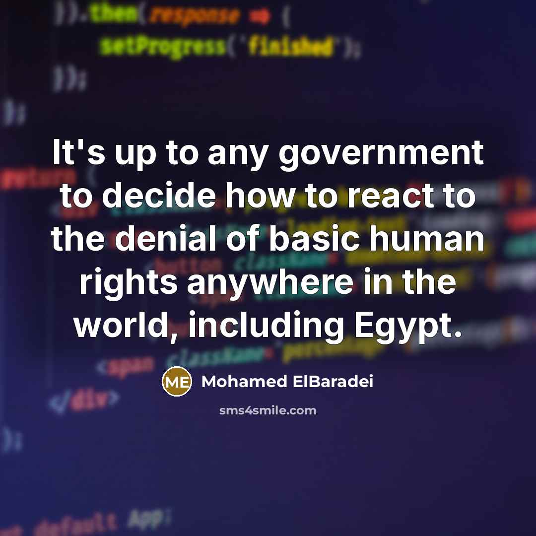“It's up to any government to decide how to react…” quote by Mohamed ElBaradei