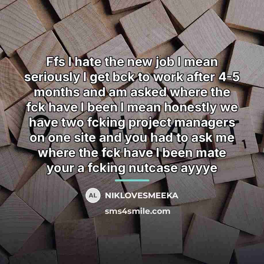 “Ffs I hate the new job I mean seriously I…” quote by NIKLOVESMEEKA