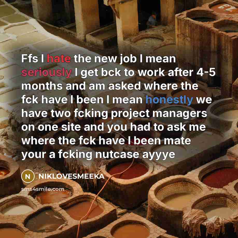 “Ffs I hate the new job I mean seriously I get bck to work after 4-5 months and am asked where the fck have I been I mean honestly we have two fcking project managers on one site and you had to ask me where the fck have I been mate your a fcking nutcase ayyye” quote by NIKLOVESMEEKA
