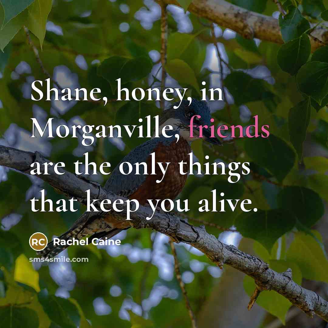 “Shane, honey, in Morganville, friends are the only things that…” quote by Rachel Caine