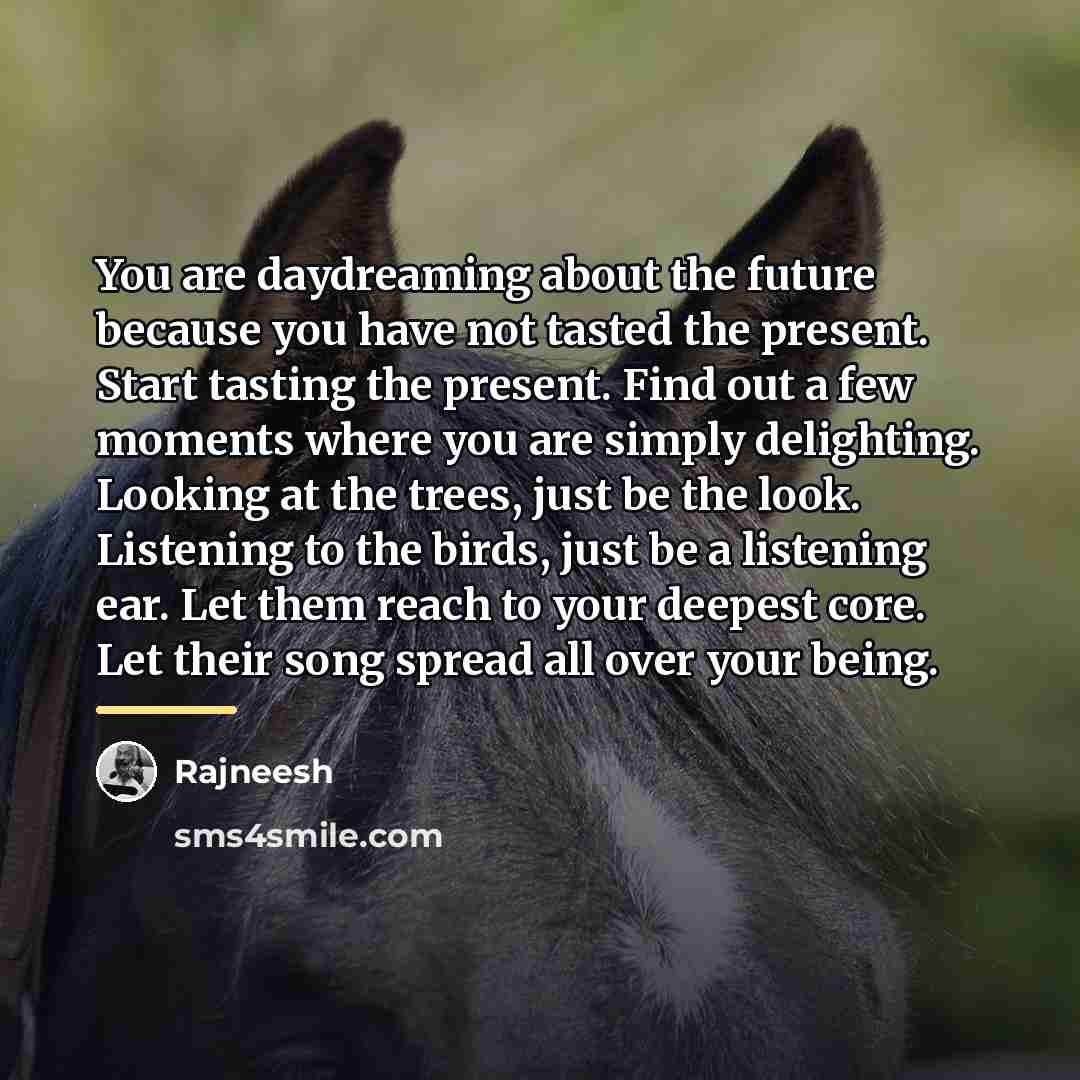 “You are daydreaming about the future because you have not…” quote by Rajneesh