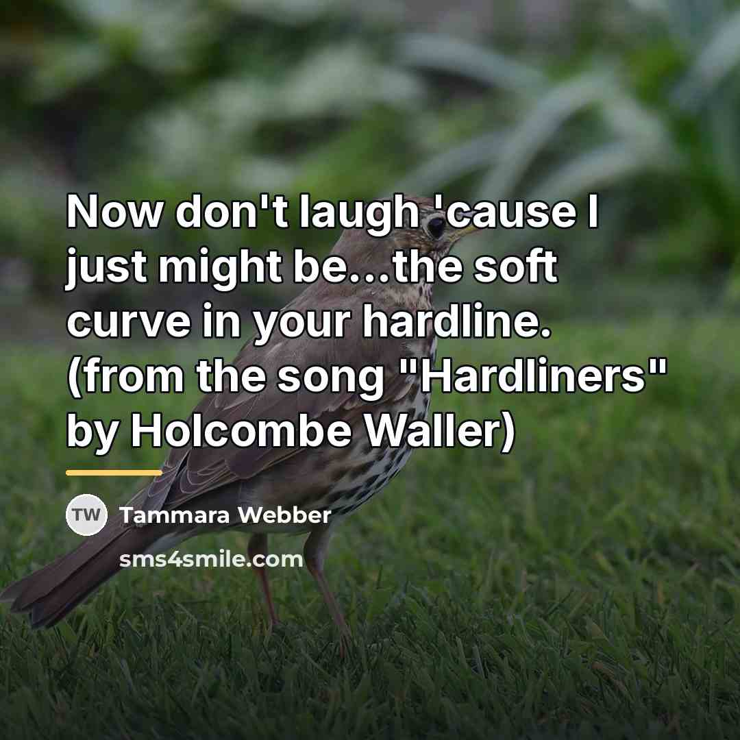 “Now don't laugh 'cause I just might be...the soft curve…” quote by Tammara Webber