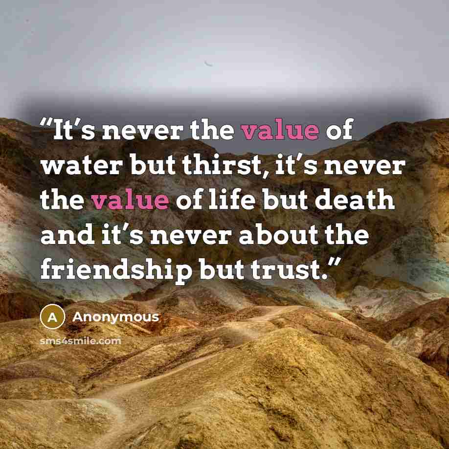 “It’s never the value of water but thirst, it’s never the value of life but death and it’s never about the friendship but trust.” quote by Anonymous