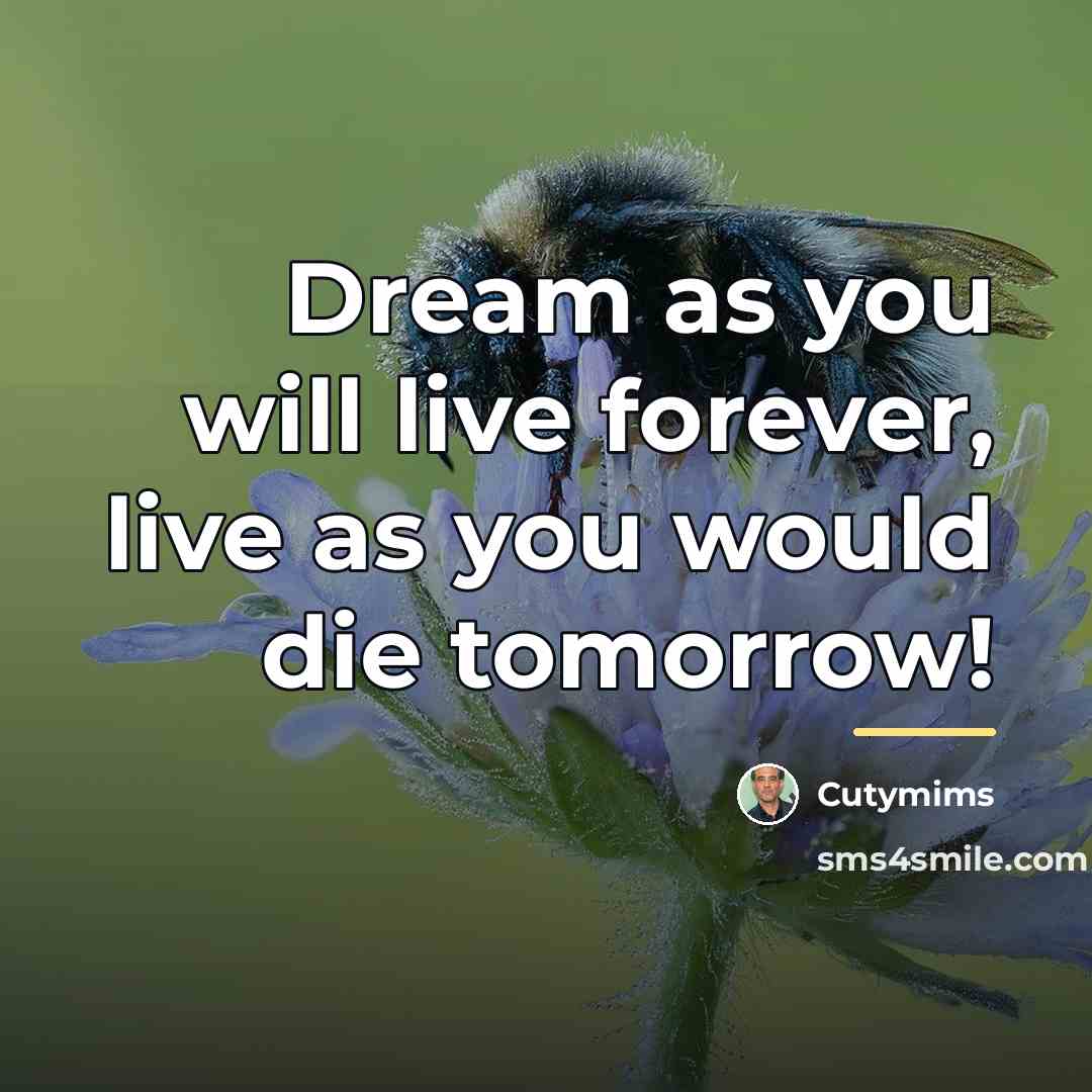 “Dream as you will live forever, live as you would…” quote by Cutymims
