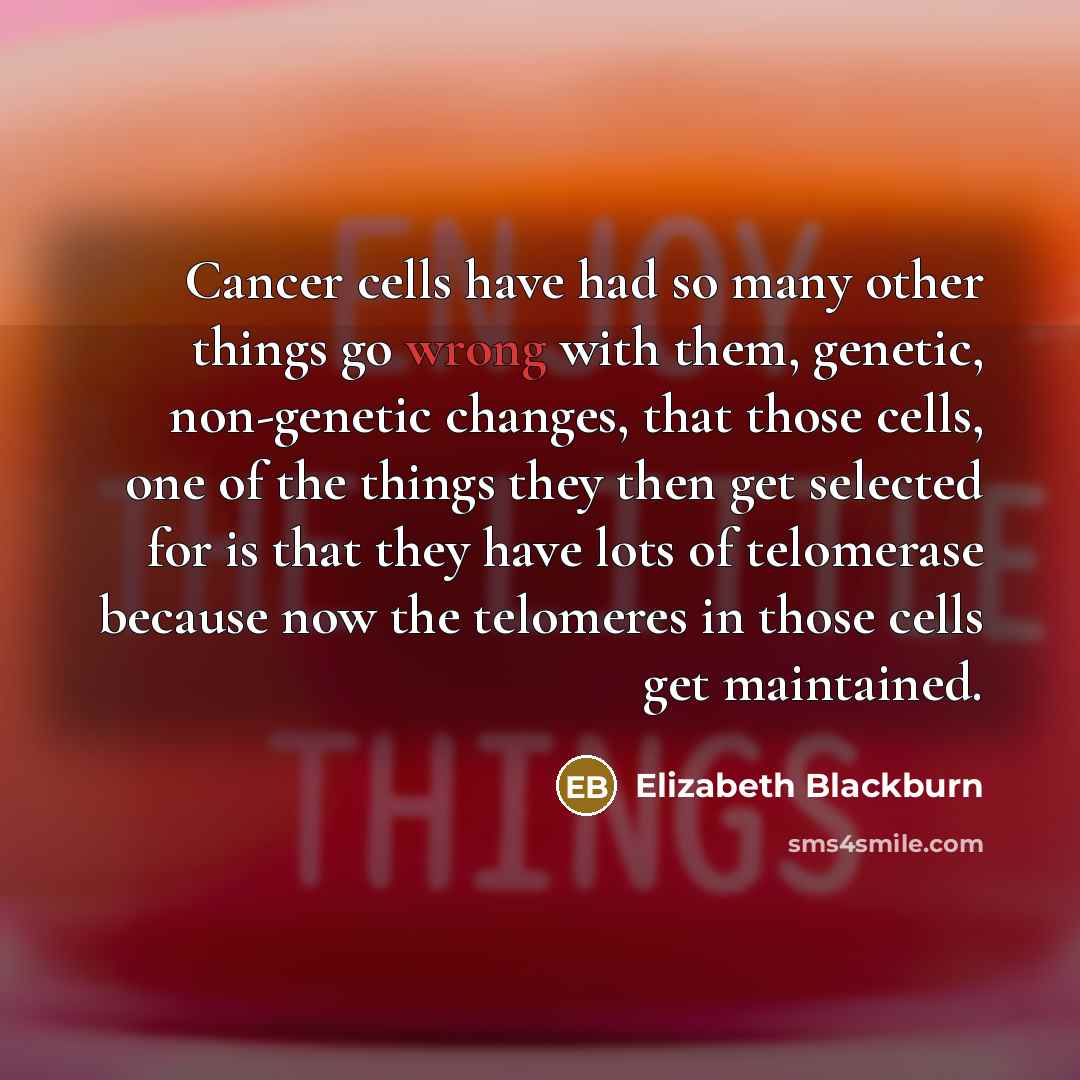 “Cancer cells have had so many other things go wrong…” quote by Elizabeth Blackburn