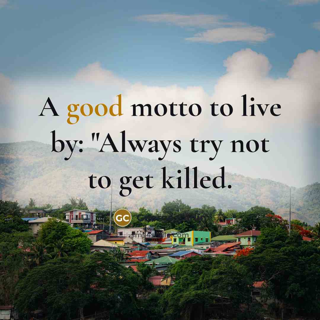 “A good motto to live by: "Always try not to…” quote by George Carlin