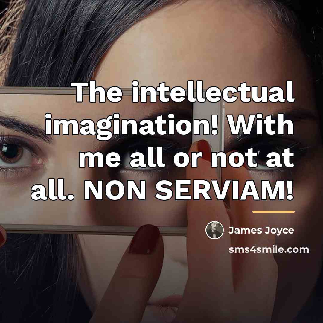 “The intellectual imagination! With me all or not at all.…” quote by James Joyce