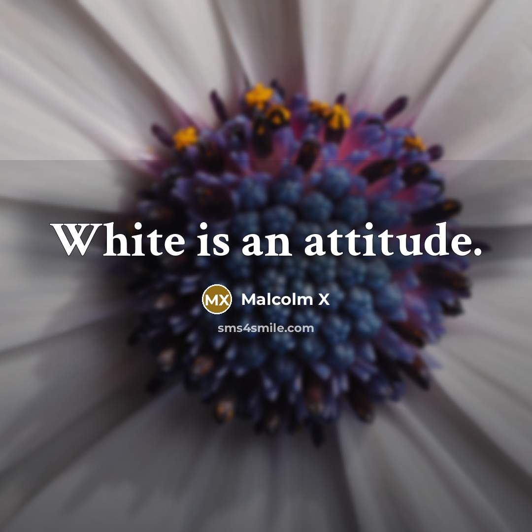 “White is an attitude.…” quote by Malcolm X