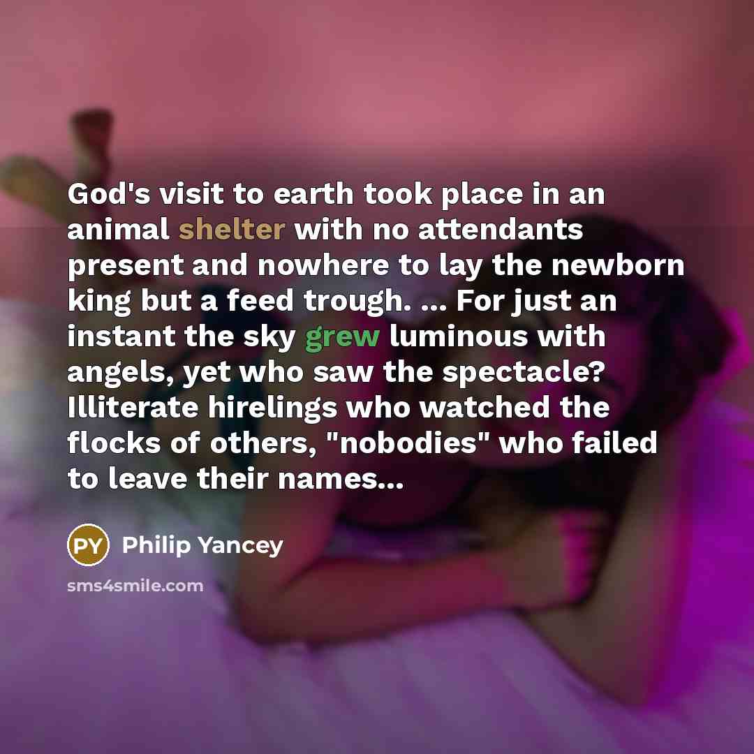 “God's visit to earth took place in an animal shelter…” quote by Philip Yancey