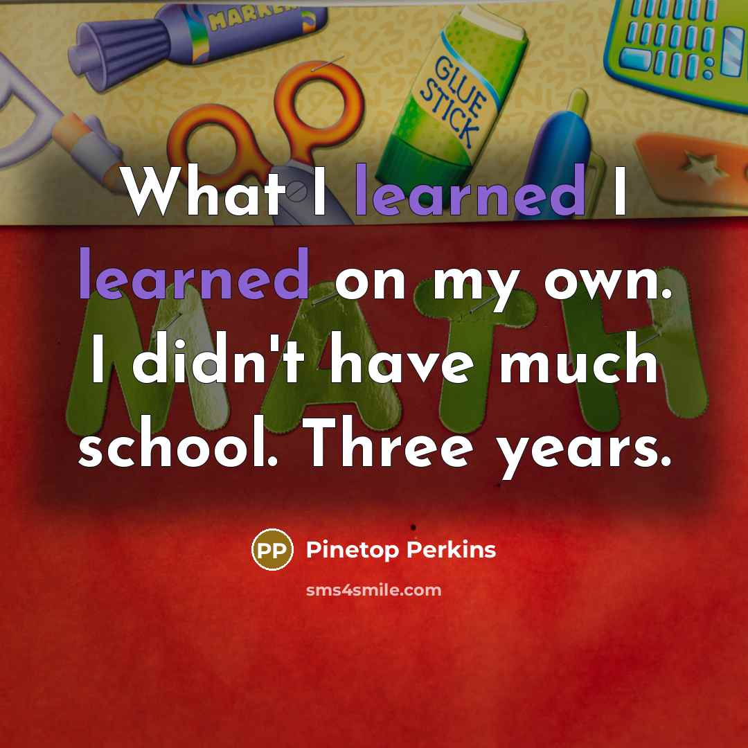 “What I learned I learned on my own. I didn't…” quote by Pinetop Perkins