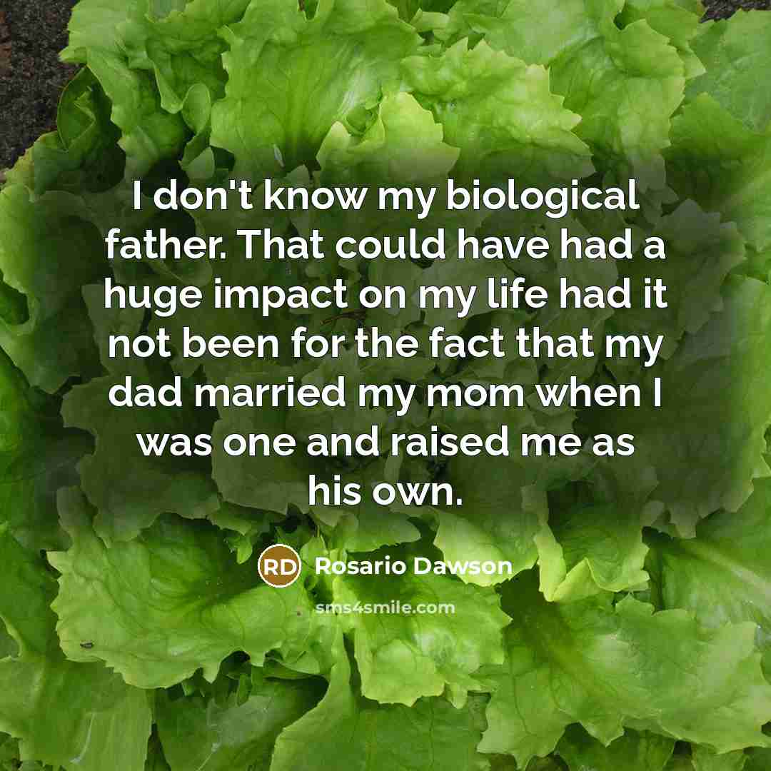 “I don't know my biological father. That could have had…” quote by Rosario Dawson