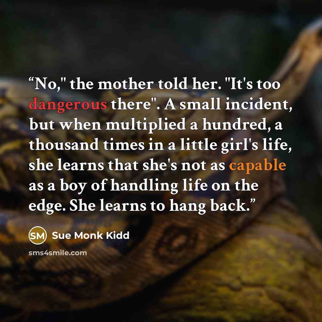 “No," the mother told her. "It's too dangerous there". A small incident, but when multiplied a hundred, a thousand times in a little girl's life, she learns that she's not as capable as a boy of handling life on the edge. She learns to hang back.” quote by Sue Monk Kidd