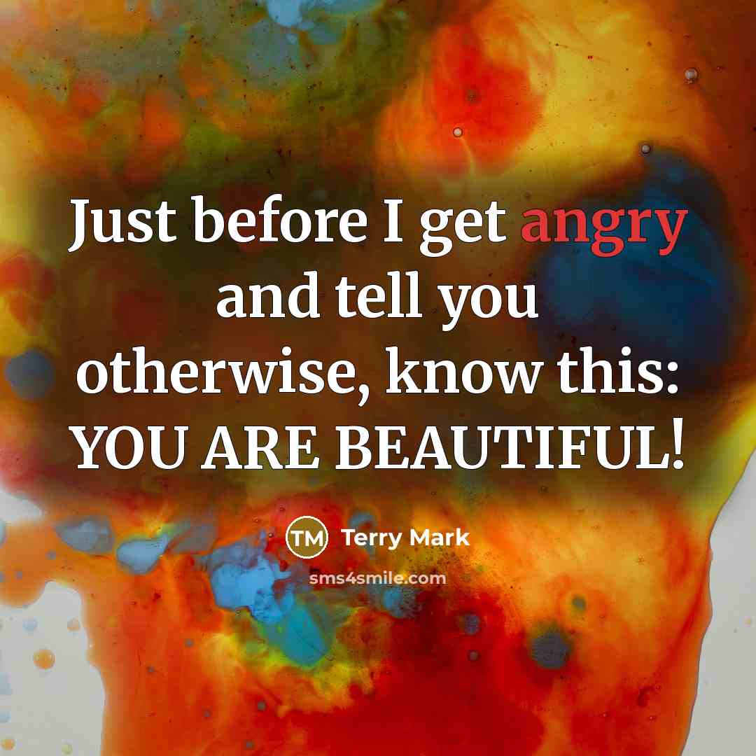 “Just before I get angry and tell you otherwise, know…” quote by Terry Mark