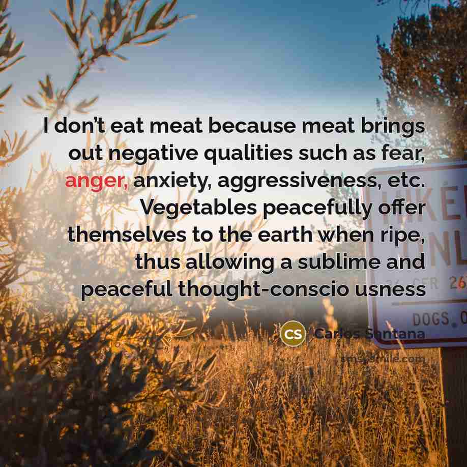 “I don’t eat meat because meat brings out negative qualities…” quote by Carlos Santana
