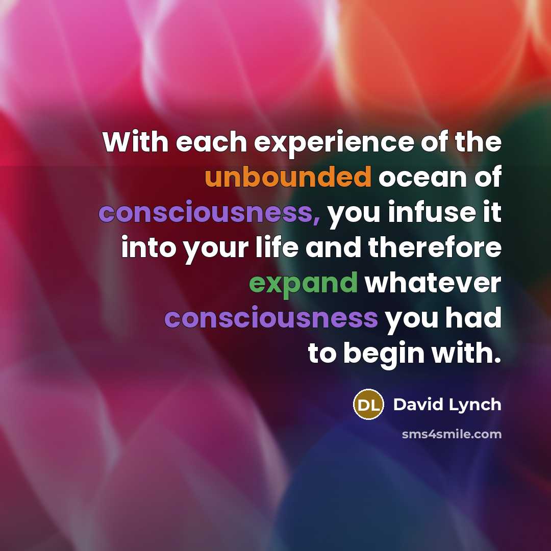 “With each experience of the unbounded ocean of consciousness, you…” quote by David Lynch