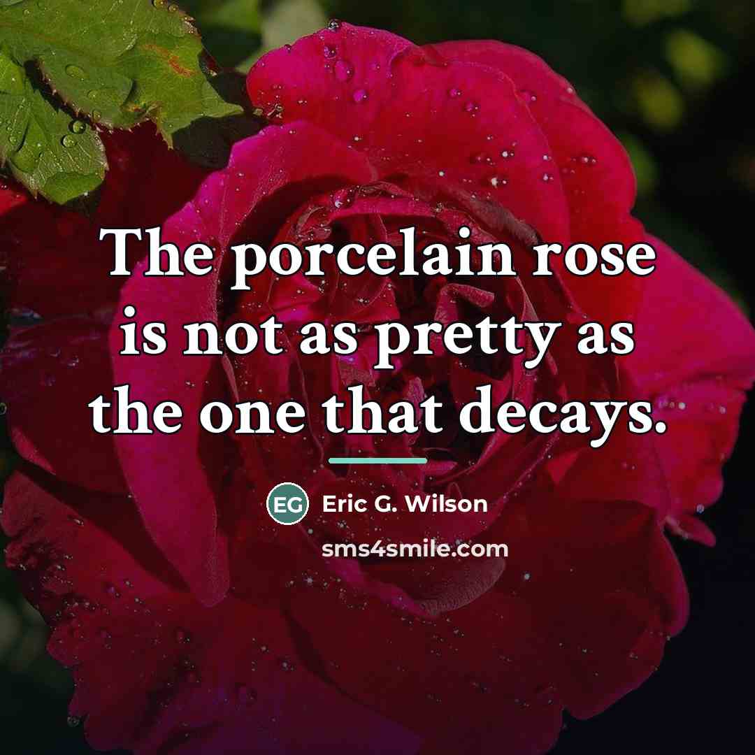 “The porcelain rose is not as pretty as the one…” quote by Eric G. Wilson