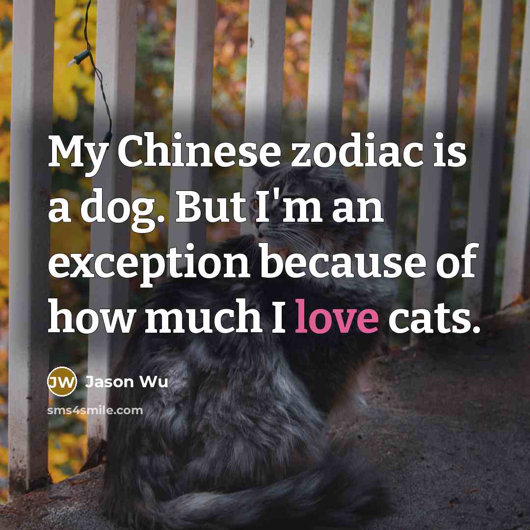 “My Chinese zodiac is a dog. But I'm an exception…” quote by Jason Wu