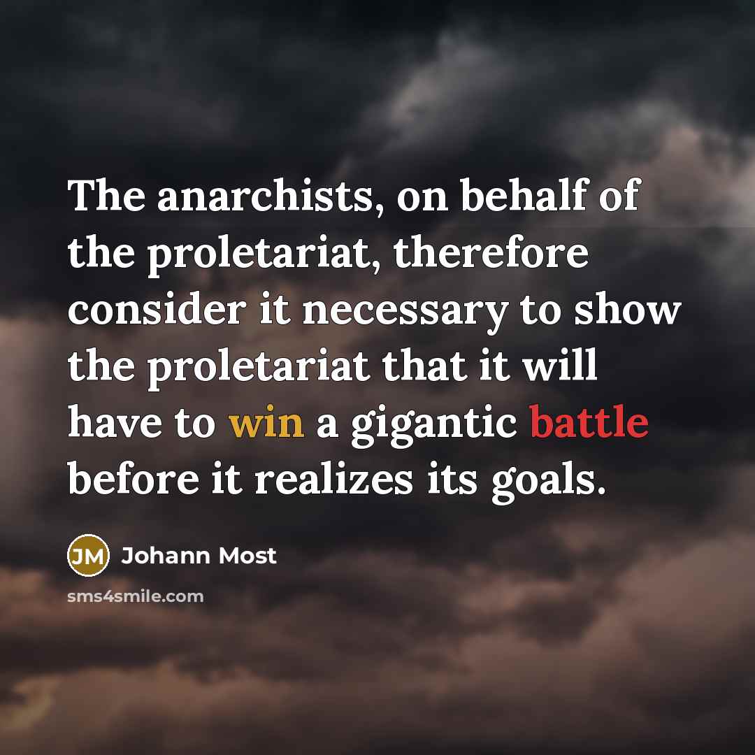 “The anarchists, on behalf of the proletariat, therefore consider it…” quote by Johann Most