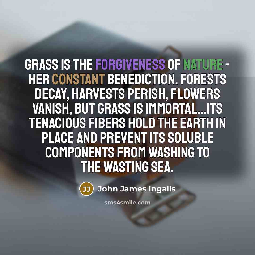 “Grass is the forgiveness of nature - her constant benediction.…” quote by John James Ingalls