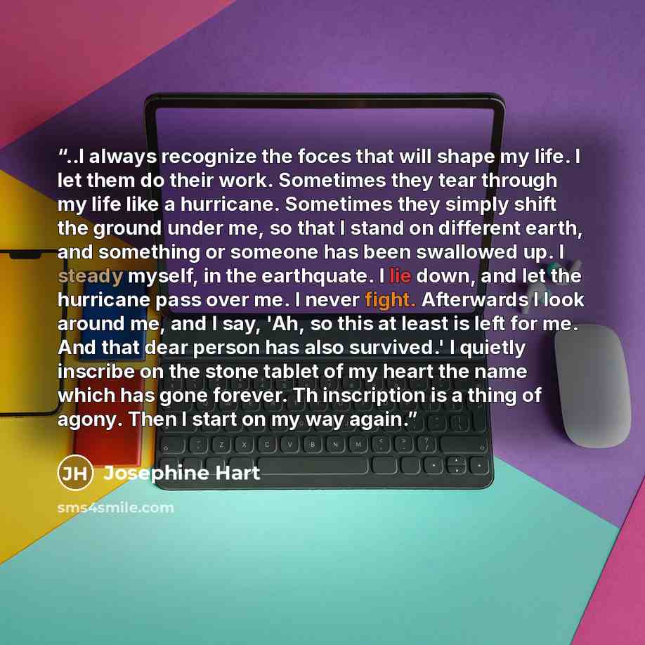 “..I always recognize the foces that will shape my life. I let them do their work. Sometimes they tear through my life like a hurricane. Sometimes they simply shift the ground under me, so that I stand on different earth, and something or someone has been swallowed up. I steady myself, in the…” quote by Josephine Hart