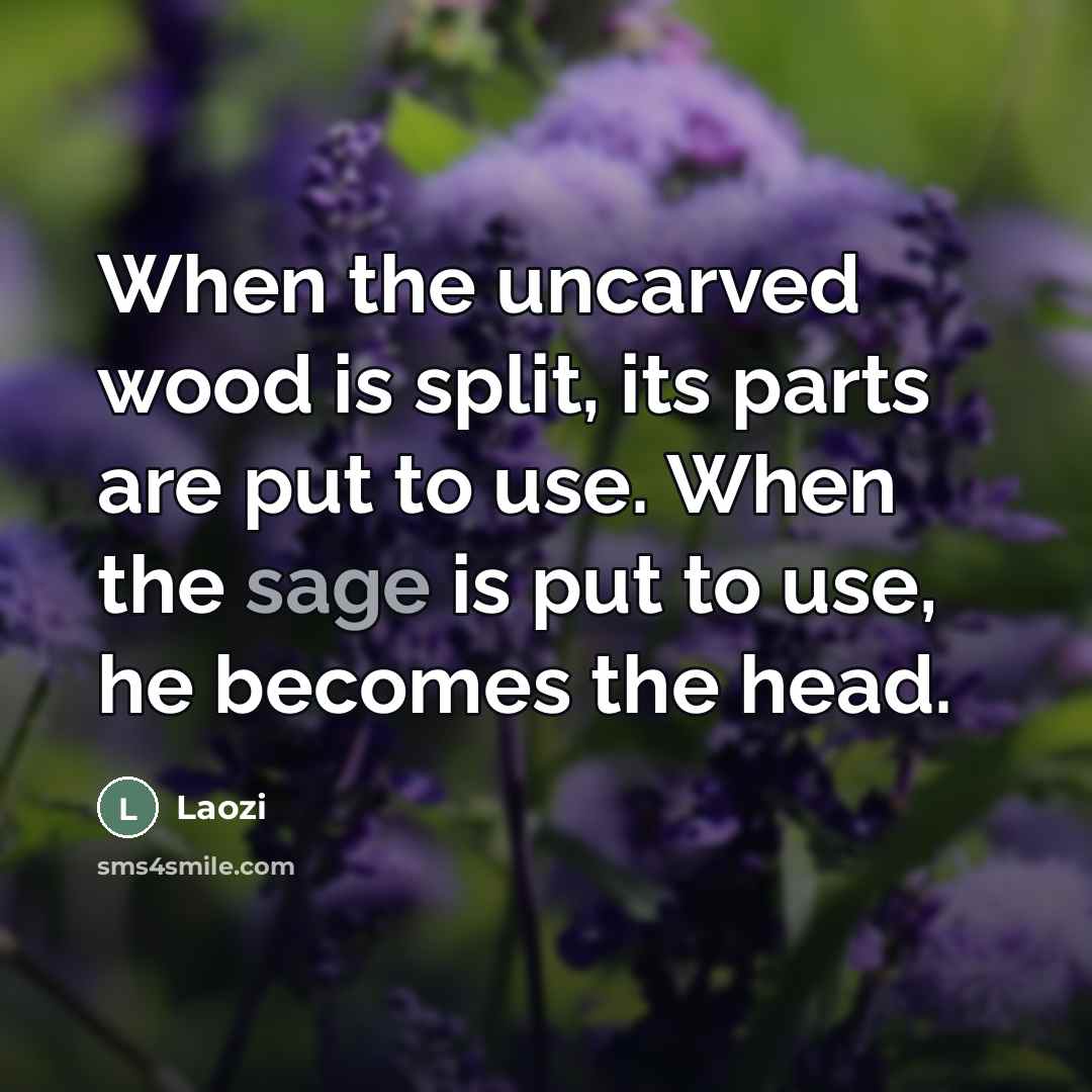 “When the uncarved wood is split, its parts are put…” quote by Laozi