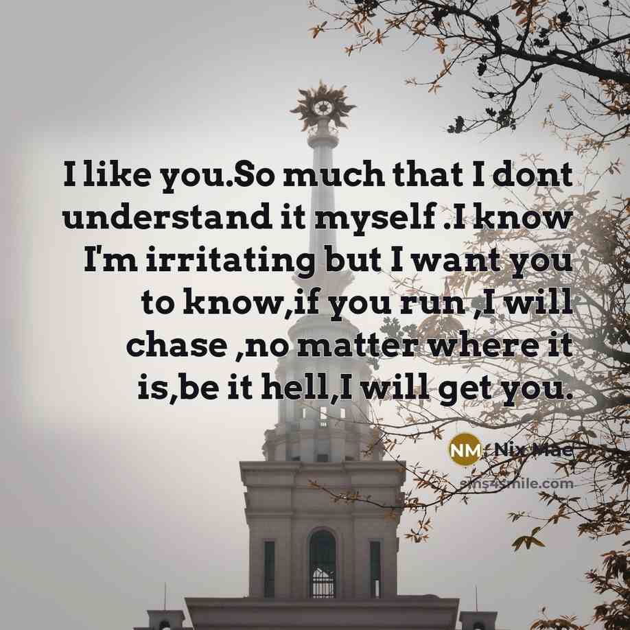 “I like you.So much that I dont understand it myself .I know I'm irritating but I want you to know,if you run ,I will chase ,no matter where it is,be it hell,I will get you.” quote by Nix Mae